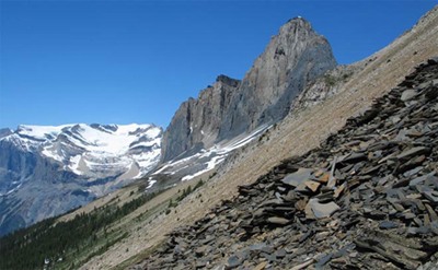 Burgess Shales on the BC-Alberta border